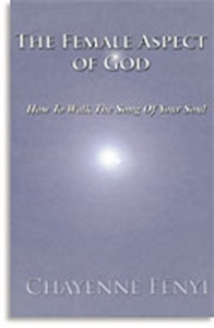 Bild på The Female Aspect of God : how To Walk The Song of Your Soul
