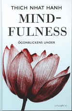 Bild på Mindfulness : ögonblickens under