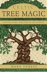 Bild på Celtic tree magic - ogham lore and druid mysteries