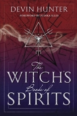 Bild på Witchs book of spirits