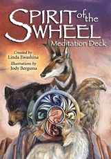 Bild på Spirit of the Wheel Meditation Deck [With Poster and Booklet]