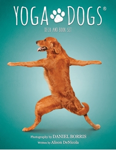 Bild på Yoga Dogs Deck & Book Set