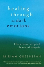 Bild på Healing through the dark emotions - the wisdom of grief, fear, and despair