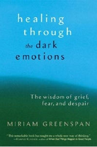 Bild på Healing through the dark emotions - the wisdom of grief, fear, and despair