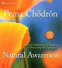 Bild på Natural Awareness: Guided Meditations and Teachings for Welcoming All Experience