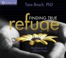 Bild på Finding true refuge - meditations for difficult times