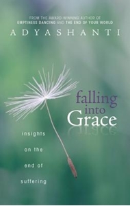 Bild på Falling into grace - insights on the end of suffering