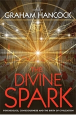 Bild på Divine spark - psychedelics, consciousness and the birth of civilization