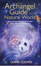 Bild på Archangel guide to the animal world