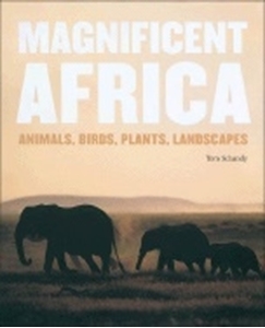 Bild på Magnificent Africa: Animals, Birds, Plants, Landscapes (130