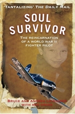 Bild på Soul survivor - the reincarnation of a world war ii fighter pilot