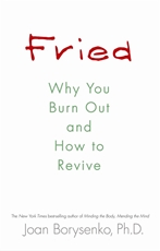 Bild på Fried - why you burn out and how to revive