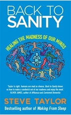 Bild på Back to sanity - healing the madness of our minds