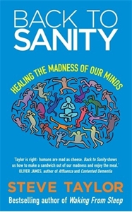 Bild på Back to sanity - healing the madness of our minds