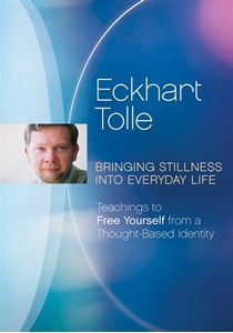 Bild på Bringing Stillness Into Everyday Life (Dvd)