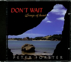 Bild på Don't Wait : Songs of heart