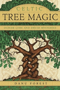 Bild på Celtic tree magic - ogham lore and druid mysteries