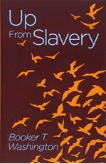 Bild på Up from slavery