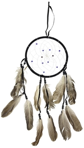 Bild på Dreamcatcher earth spirit