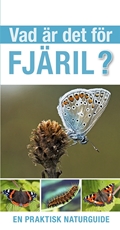 Bild på Vad är det för fjäril?