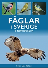 Bild på Fåglar i Sverige och Nordeuropa