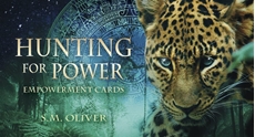 Bild på Hunting For Power Empowerment Cards