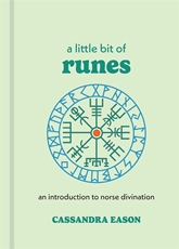Bild på Little bit of runes - an introduction to norse divination