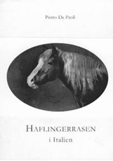 Bild på Haflingerrasen i Italien : ursprung - stambok från 1931
