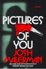 Bild på Pictures of You: A Novel