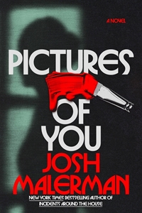 Bild på Pictures of You: A Novel
