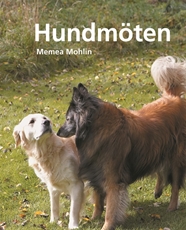 Bild på Hundmöten
