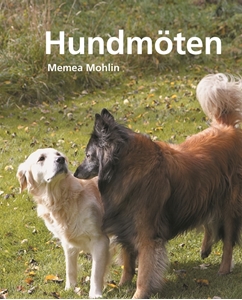 Bild på Hundmöten