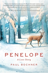 Bild på Penelope