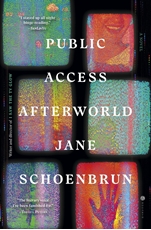 Bild på Public Access Afterworld: A Novel