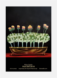 Bild på Plant Still Life III - postcard