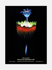 Bild på Plant From Elsewhere XIV - postcard