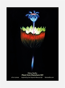 Bild på Plant From Elsewhere XIV - postcard